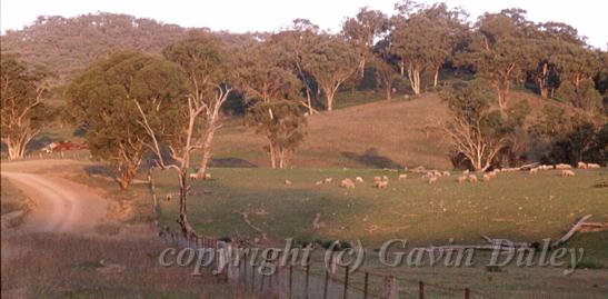 Evening, Prospector's Way, New England.jpg